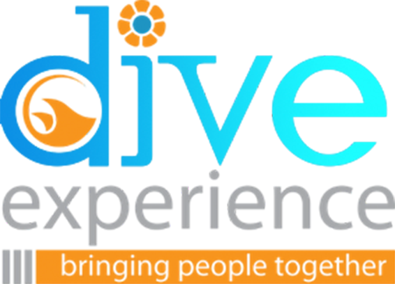 Dive experience